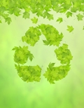 recycling-timber