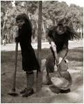 tree planting